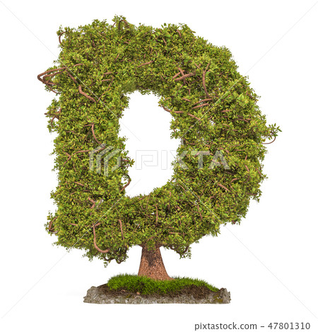 Tree letter D. Tree in shaped of letter D - Stock Illustration ...