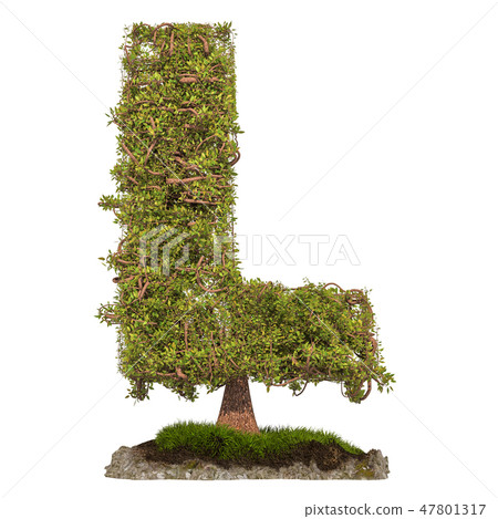 Tree letter L. Tree in shaped of letter L 47801317