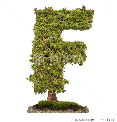 Tree letter F. Tree in shaped of letter F Tree letter F. Tree in shaped of letter F 47801343