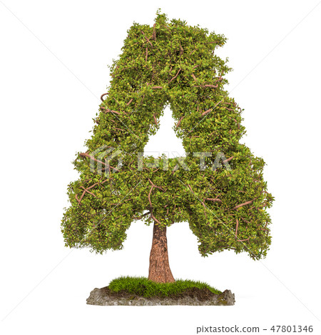 Tree letter A. Tree in shaped of letter A Tree letter A. Tree in shaped of letter A 47801346