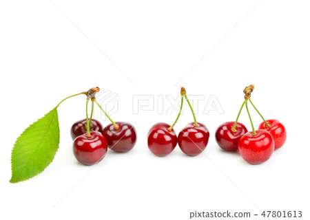 Ripe cherries isolated on white background. Ripe cherries isolated on white background. 47801613