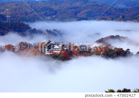 城堡在天空3033 城堡在天空3033 47802427