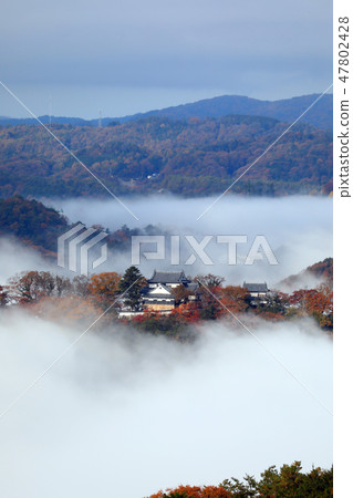 城堡在天空3037 城堡在天空3037 47802428