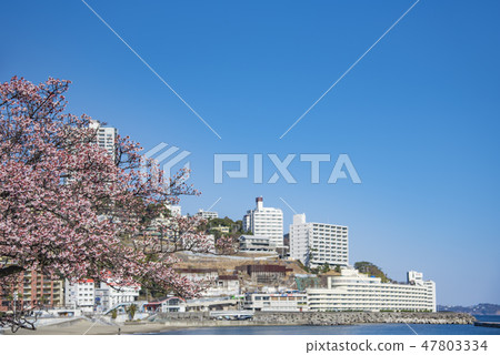 [熱海櫻花海灘] 47803334