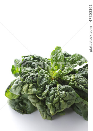 Chiyimi Spinach 7 Chiyimi Spinach 7 47803361