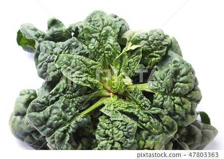 Chiyimi Spinach 9 Chiyimi Spinach 9 47803363
