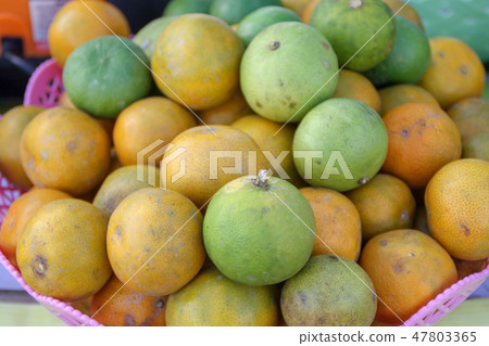 green and yellow Lime in the pink basket green and yellow Lime in the pink basket 47803365