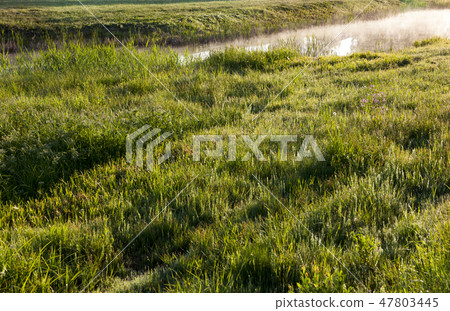 field covered with water 47803445