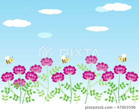 Round grass 4 47803596