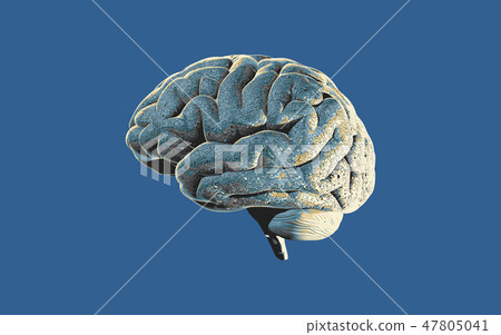 Brain engraving graphic illustration on blue BG - Stock Illustration ...