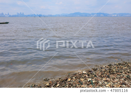Deep Bay,  Shenzhen Bay, view at hk 47805116