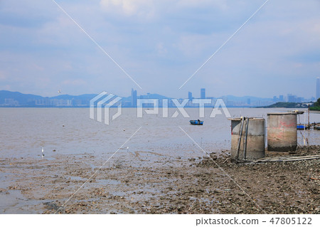 Hong Kong Lau Fau Shan at 2016 Hong Kong Lau Fau Shan at 2016 47805122