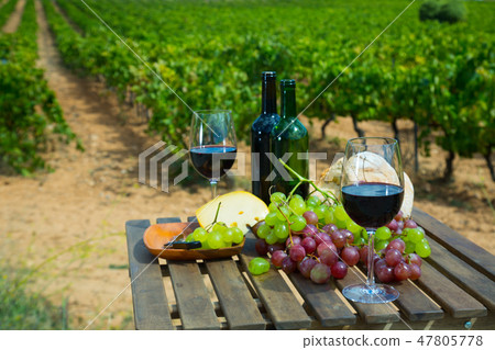 Red wine, cheese, bread and grapes against vineyard Red wine, cheese, bread and grapes against vineyard 47805778