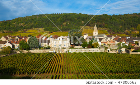 Houses and nature of ancient city Saint-Aubin, Burgundy with vineyards 47806562