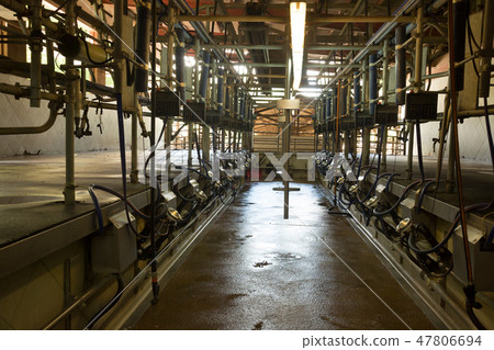 Automatic milking system Automatic milking system 47806694