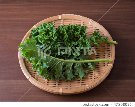 Kale 47808055