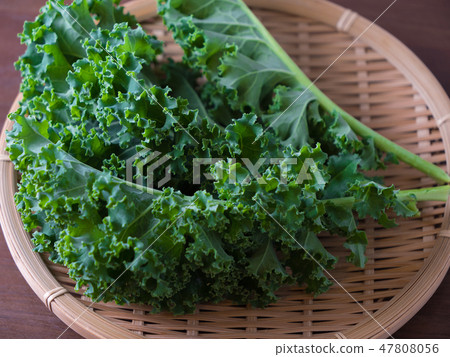 Kale 47808056