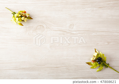 文本空間與綠色 文本空間與綠色 47808621