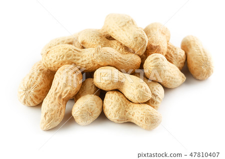 Peanuts. Two peeled nuts isolated on white back Peanuts. Two peeled nuts isolated on white back 47810407