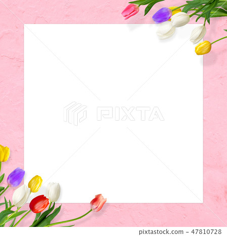 Background - Flowers - Wall - Spring - Pink - Tulip - Whiteboard Background - Flowers - Wall - Spring - Pink - Tulip - Whiteboard 47810728