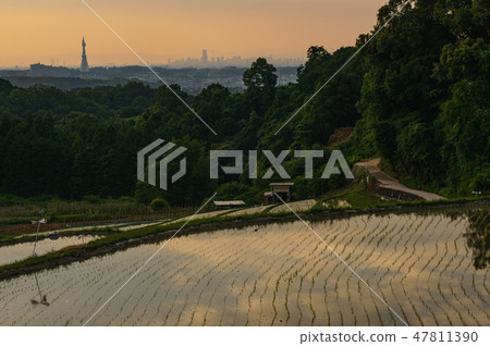 Urban and countryside 47811390