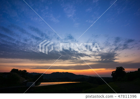 Shimosuma Rice Terrace Evening landscape 47811396