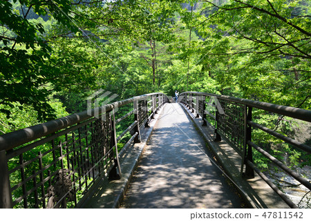 I went to Fubuzi waterfall # 40 47811542