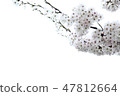 櫻桃圖片 47812664
