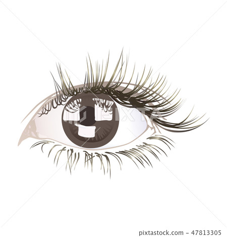 眼睛 47813305