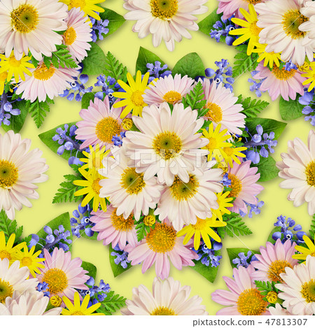 Aster and wild flower seamless pattern for backgro 47813307
