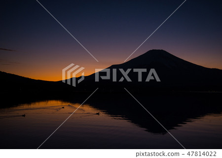 從山中岸的富士山日落視圖 從山中岸的富士山日落視圖 47814022