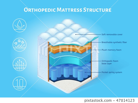 Orthopedic Mattress Structure Vector Scheme 47814123
