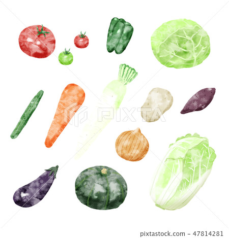 菜例證白色背景 菜例證白色背景 47814281