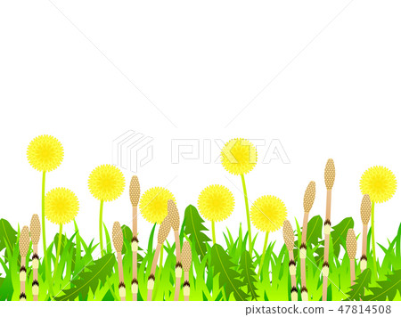 Dandelion and Tsukushi illustration Dandelion and Tsukushi illustration 47814508