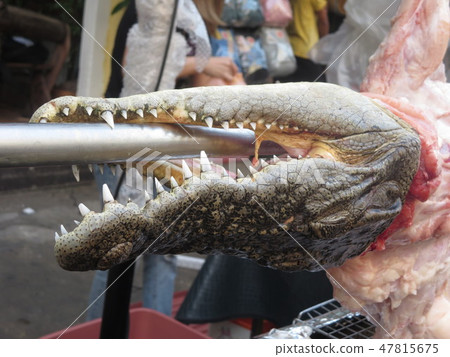 鱷魚圓烤架 鱷魚圓烤架 47815675