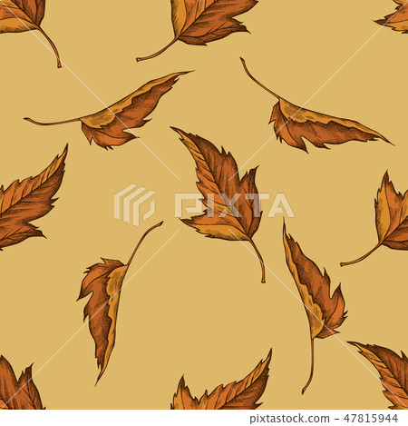 Seamless pattern with hand drawn colored maple - Stock Illustration ...