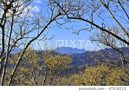 Hanasaku Nagami Town Hodogayama Robotic Garden and Amphibious Mountain Hanasaku Nagami Town Hodogayama Robotic Garden and Amphibious Mountain 47816223