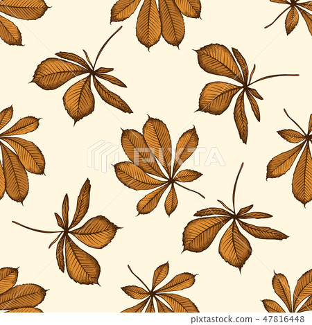 Seamless pattern with hand drawn colored buckeye 47816448