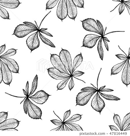 Seamless pattern with black and white buckeye 47816449