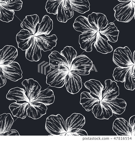 Seamless pattern with hand drawn chalk protea, hibiscus 47816554