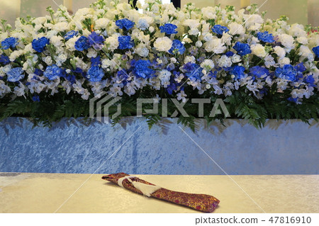 白色藍色花壇 47816910