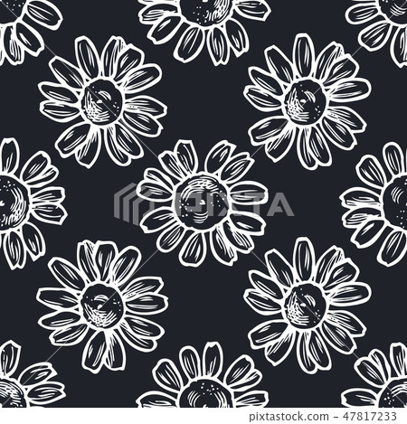 Seamless pattern with hand drawn chalk chamomile Seamless pattern with hand drawn chalk chamomile 47817233