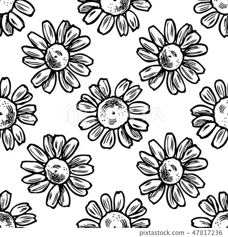 Seamless pattern with black and white chamomile - Stock Illustration ...