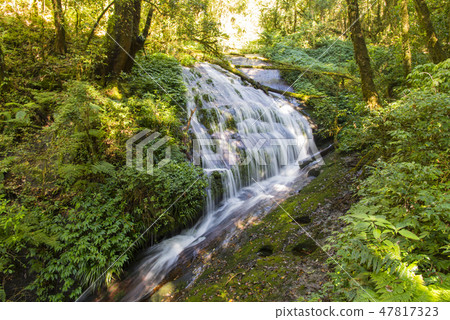Doi Inthanon National Park 47817323
