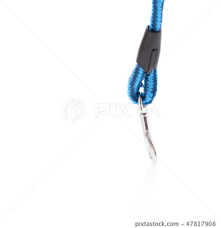 New blue dog chain on white background New blue dog chain on white background 47817908
