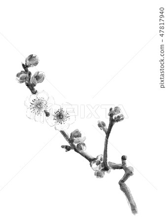 White plum bean ink painting monotone light touch 47817940