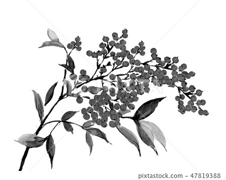 Minami watercolor ink black monotone 47819388