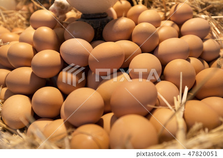 Fresh chicken eggs at market Fresh chicken eggs at market 47820051