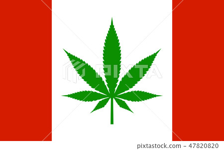 Legalization Cannabis Hemp on Canada Flag. Vector Legalization Cannabis Hemp on Canada Flag. Vector 47820820