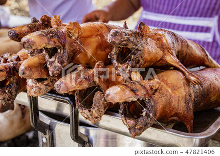 Cuy (guinea pig) roasted and ready to eat Cuy (guinea pig) roasted and ready to eat 47821406